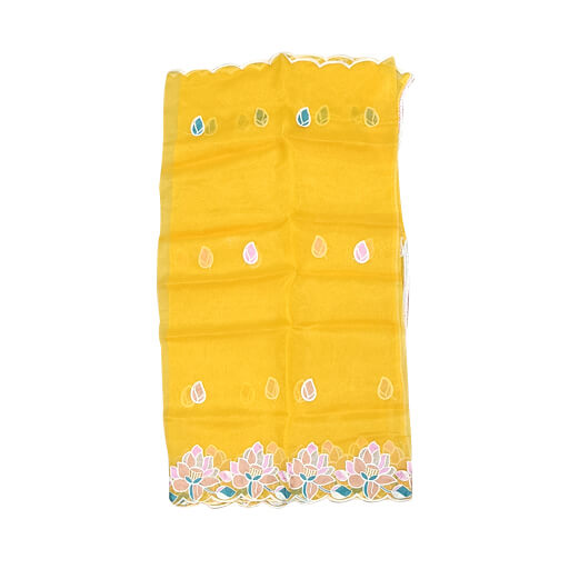 Lakhnavi Resham Work Suit